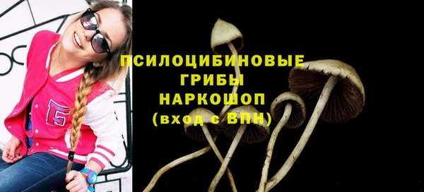 гашиш Вяземский