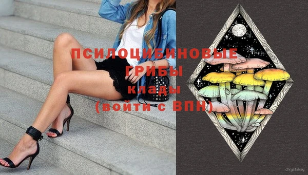 дурь Горно-Алтайск