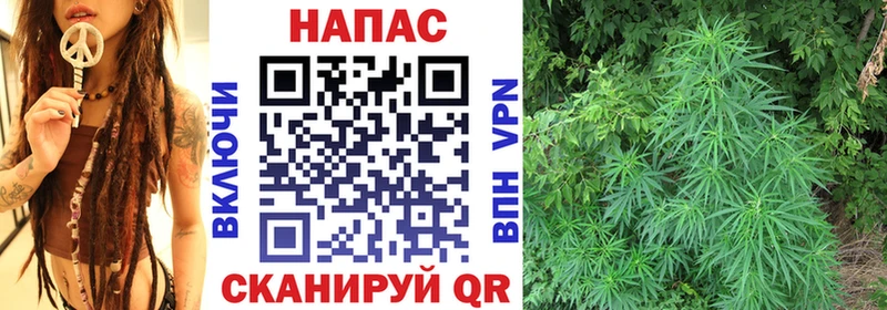 МАРИХУАНА индика  Купить  Медногорск 